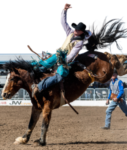 Bareback cowboy mid-ride