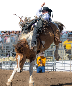Bucking horse mid-ride