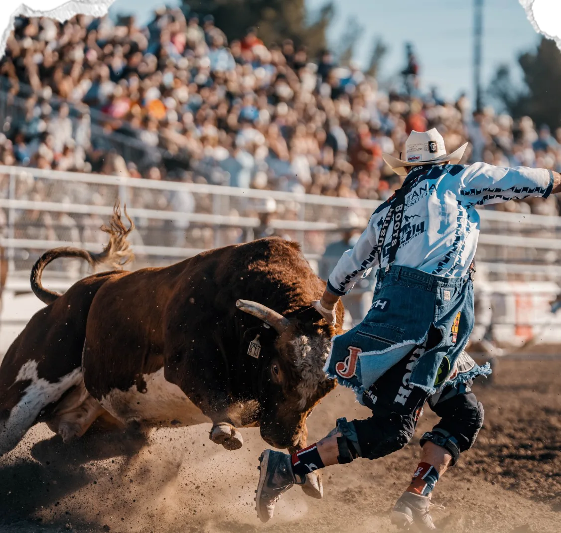 A bullfighter runs from a charging brown bull after the ride.