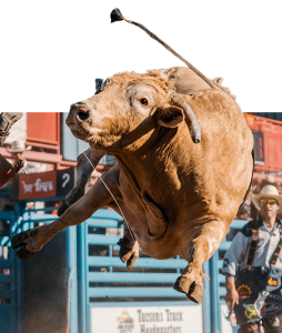 A tan bull twists in mid-air as it bucks.