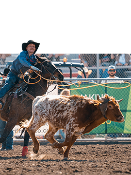 Team ropers