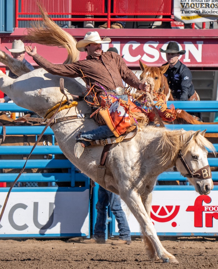 Saddle bronc rider
