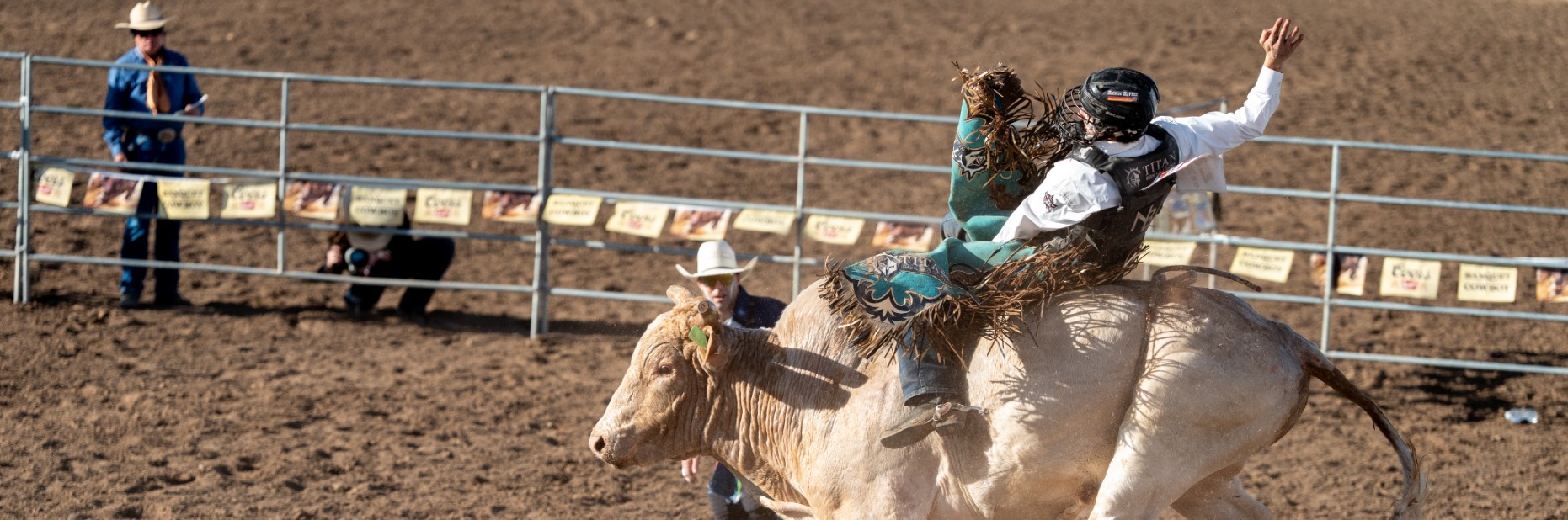Bull rider at the Tucson Rodeo
