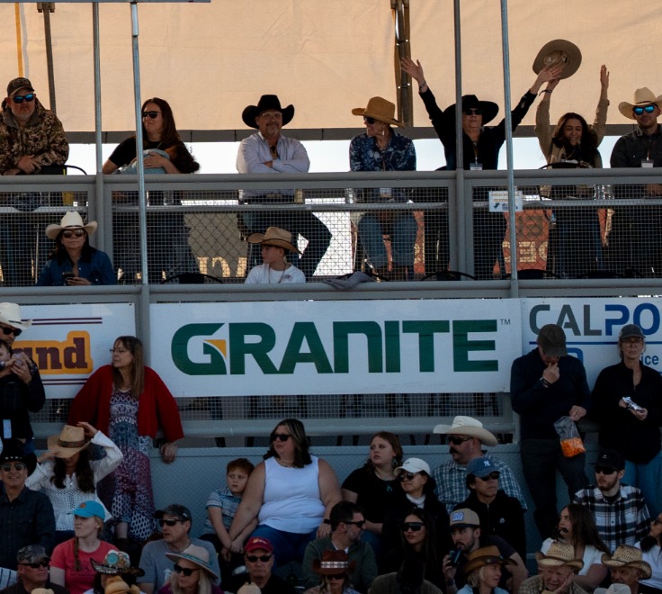 Fans in the Gold Buckle Boxes