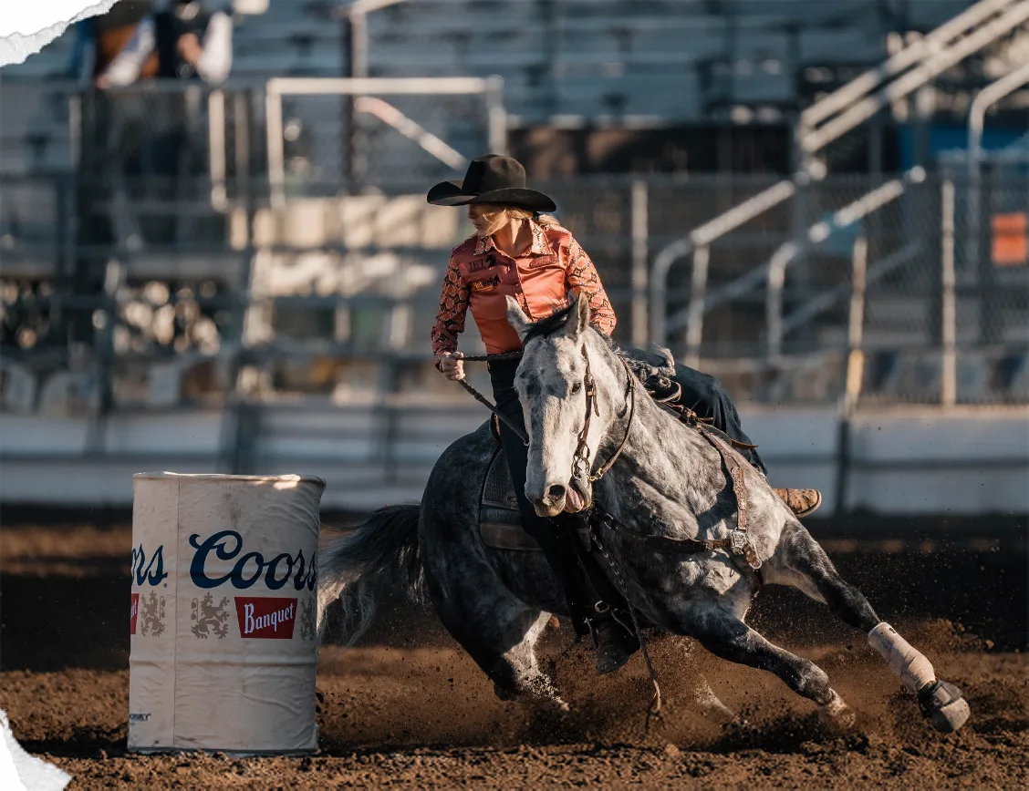 A barrel racer leans her grey horse around a Coors barrel, kicking up dirt.