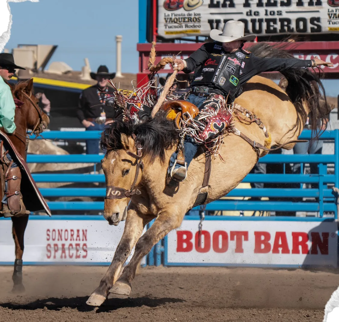 A saddle bronc rider spurs a buckskin horse in front of the Boot Barn sign.