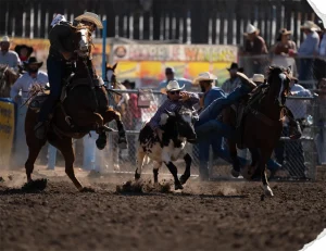 A steer wrestler leaves his horse to catch a steer while the hazer rides alongside.