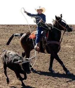 A young Team Roping competitor swinging a rope on horseback